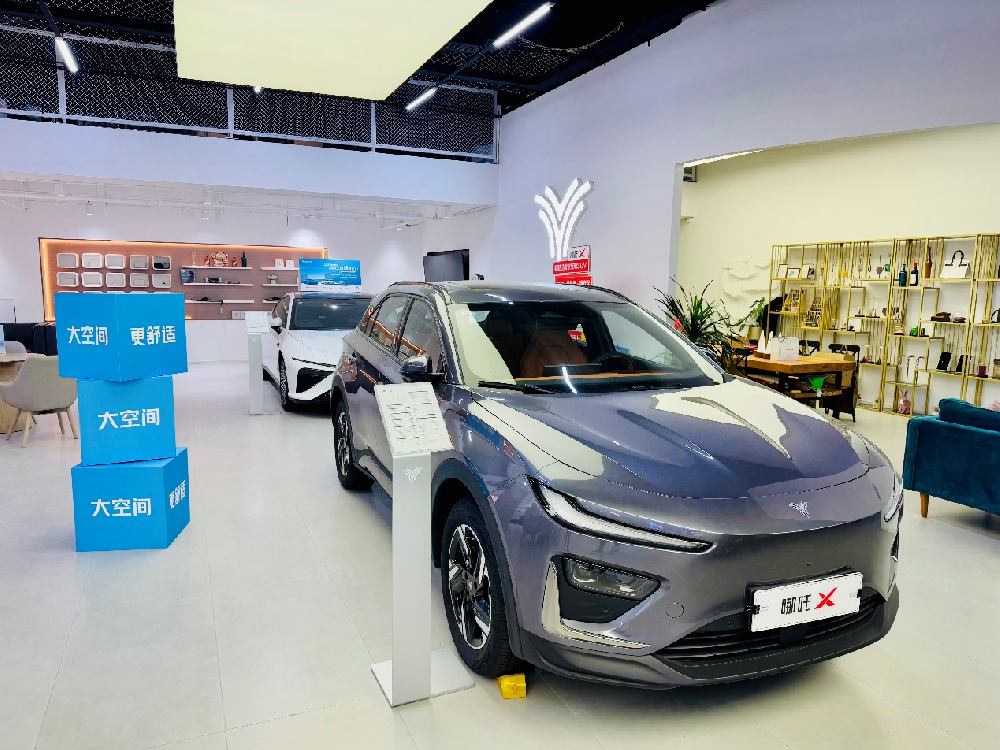 1736164776217991.png 哪吒.png